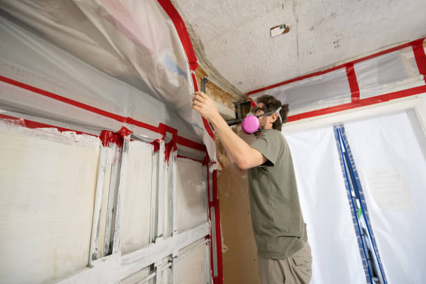 Best Mold Prevention Services  in Wheatley Heights, NY
