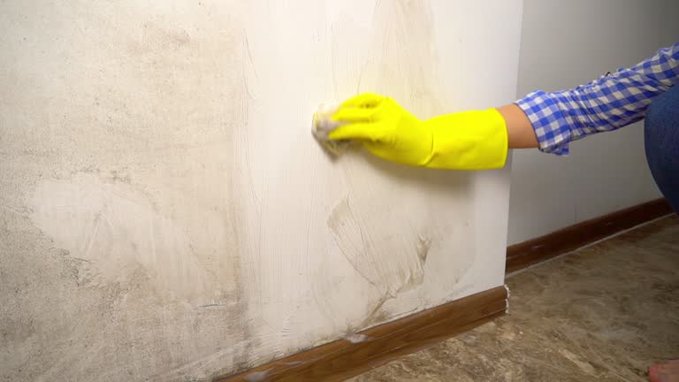 Best Mold Remediation for Healthcare Facilities  in Wheatley Heights, NY