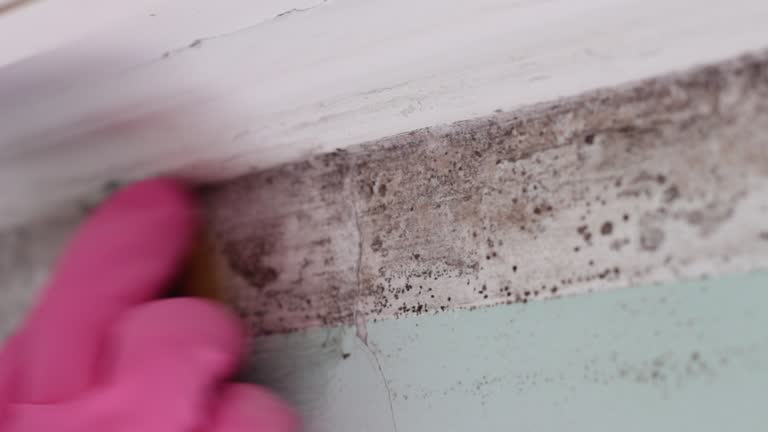 Best Mold Removal for HVAC Installations  in Wheatley Heights, NY